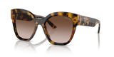 Honey Tortoise / Brown Gradient (VAU6S1)