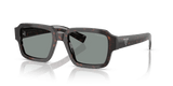 Root Tortoise / Blue (17N20N)