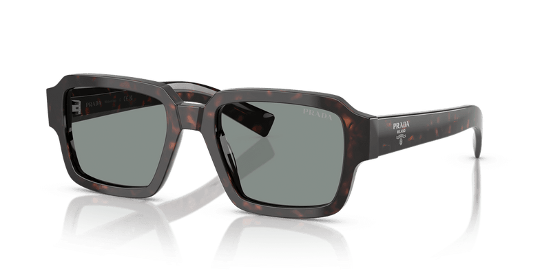 Prada PR 02ZS in Root Tortoise / Blue (17N20N) - Alternate View