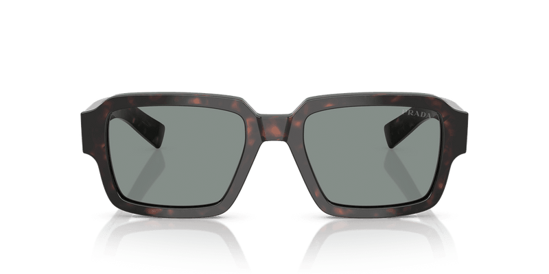 Prada PR 02ZS in Root Tortoise / Blue (17N20N) - Alternate View