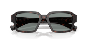 Root Tortoise / Blue (17N20N)