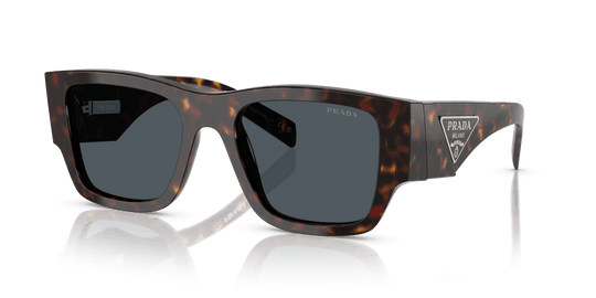 Root Tortoise / Dark Grey (17N70B)