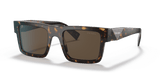 Tortoise / Dark Brown (2AU8C1)