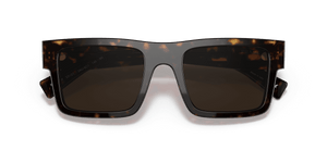 Tortoise / Dark Brown (2AU8C1)