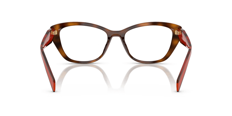 Prada PR 19WV in Juniper Havana (01K1O1) - Alternate View
