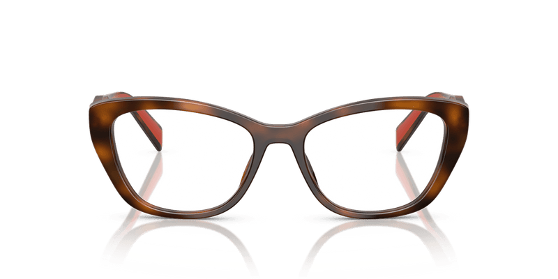 Prada PR 19WV in Juniper Havana (01K1O1) - Back View