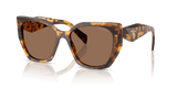 Honey Tortoise / Dark Brown (14L06B)
