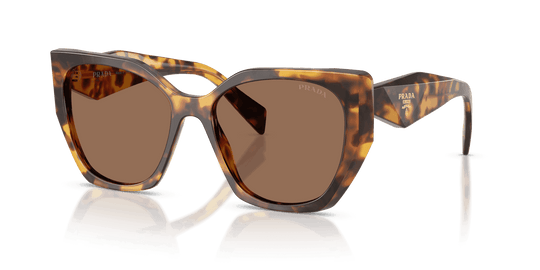 Honey Tortoise / Dark Brown (14L06B)