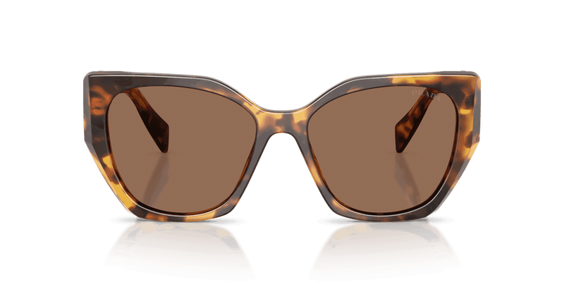 Prada PR 19ZS in Honey Tortoise / Dark Brown (14L06B) - Back View