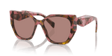 Tortoise Cognac Begonia / Light Brown (18N10D)