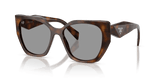 Juniper Tortoise / Grey (20D50Q)
