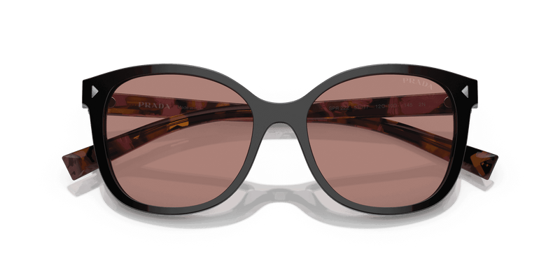 Prada PR 22ZS in Mogano / Light Brown (12O10D) - Alternate View