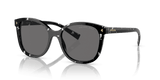 Black Crystal Tortoise (15S5Z1)