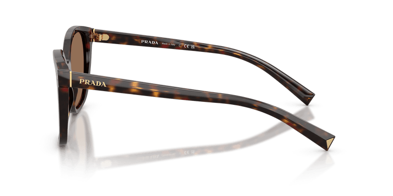 Prada PR 22ZS in Tartaruga Radica / Dark Brown (17N06B) - Temple Detail