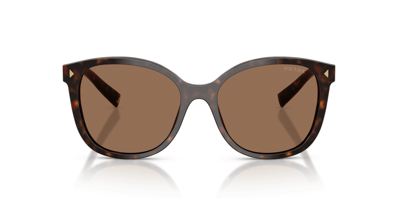 Prada PR 22ZS in Tartaruga Radica / Dark Brown (17N06B) - Back View