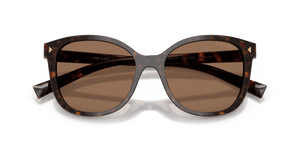 Tartaruga Radica / Dark Brown (17N06B)