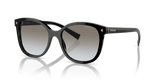 Black / Grey Gradient (1AB0A7)