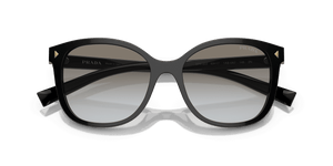 Black / Grey Gradient (1AB0A7)