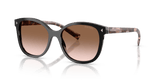 Black / Brown Gradient (28F90P)