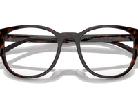 Radica Tortoise (17N1O1)