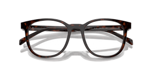 Radica Tortoise (17N1O1)