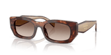 Caramel Tortoise / Brown Gradient (00K10S)