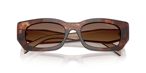 Caramel Tortoise / Brown Gradient (00K10S)