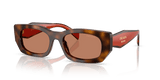 Juniper Tortoise/Cotto / Brown (01K90Q)