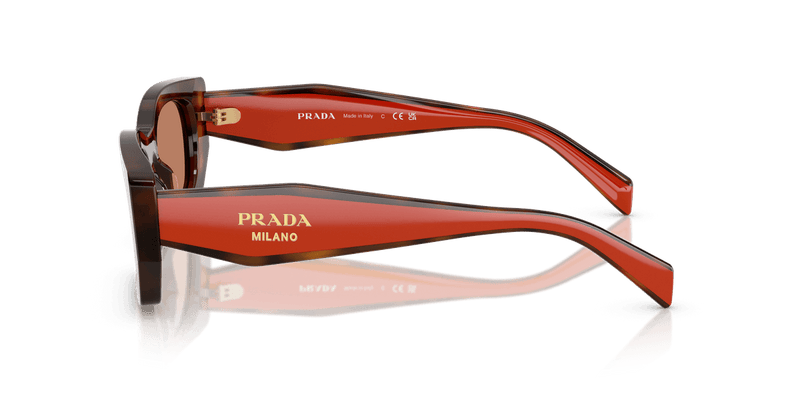 Prada PR B05S in Juniper Tortoise/Cotto / Brown (01K90Q) - Alternate View