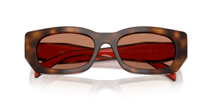 Juniper Tortoise/Cotto / Brown (01K90Q)