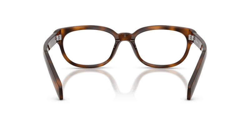 Prada PR D03VU in Juniper Havana (20D1O1) - Alternate View