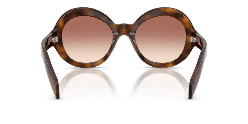 Prada PR D08SU in Juniper Tortoise / Light Brown Gradient Bordeaux (20D70X) - Alternate View