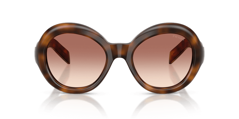 Prada PR D08SU in Juniper Tortoise / Light Brown Gradient Bordeaux (20D70X) - Back View