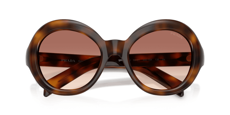Prada PR D08SU in Juniper Tortoise / Light Brown Gradient Bordeaux (20D70X) - Side View