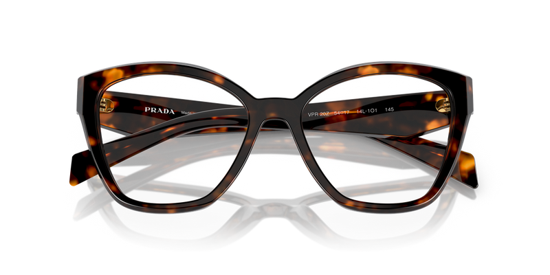 Prada PR 20ZV in Honey Tortoise / Demo Lens (14L1O1) - Alternate View
