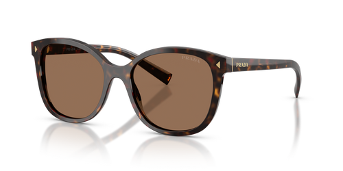 Root Tortoise / Dark Brown (17N06B)