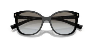 Black / Grey Gradient (1AB0A7)