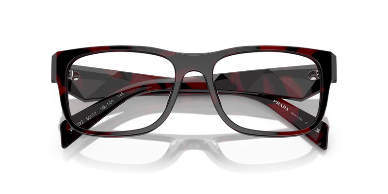 Prada PR 22ZV in Etruscan/Purple Tortoise - Alternate View
