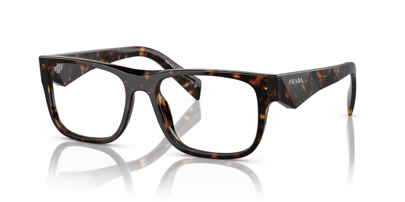 Prada PR 22ZV in Loden/Black - Alternate View
