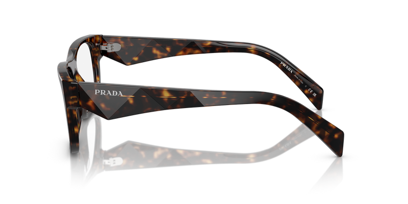 Prada PR 22ZV in Loden/Black - Alternate View