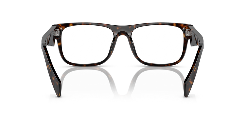 Prada PR 22ZV in Loden/Black - Alternate View