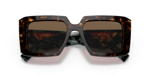 Tortoise / Dark Brown (2AU06B)