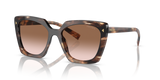 Caramel Tortoise / Brown Gradient (07R0A6)