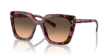 Begonia Cognac Tortoise / Brown Gradient Grey (18N50C)