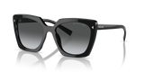 Black / Polarized Grey Gradient (1AB5W1)