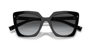 Black / Polarized Grey Gradient (1AB5W1)