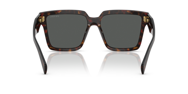Prada PR 24ZSF in Root Tortoise - Alternate View