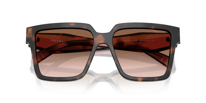 Prada PR 24ZSF in Mauve Tortoise - Alternate View
