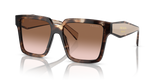 Caramel Tortoise / Brown Gradient (07R0A6)