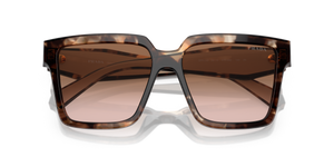 Caramel Tortoise / Brown Gradient (07R0A6)
